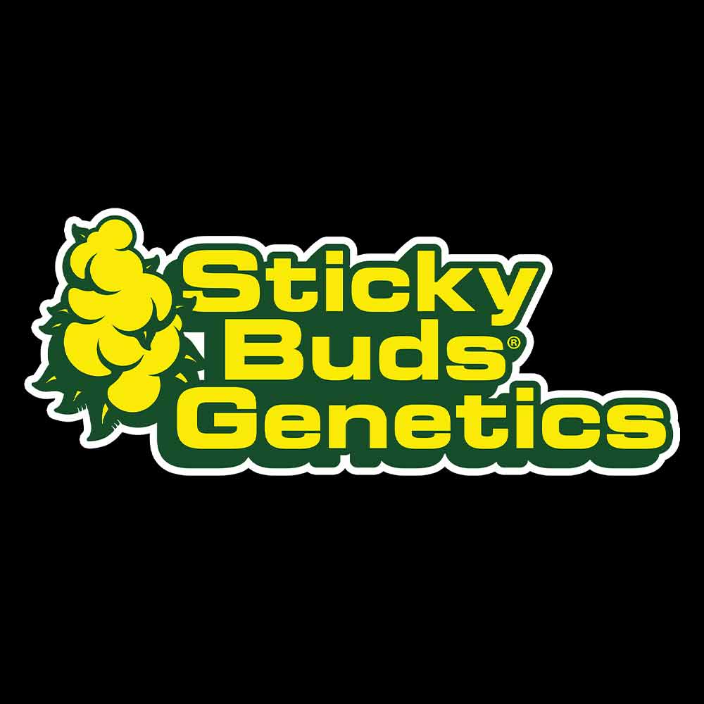Logo für Sticky Buds Genetics mit gelbem und grünem Hopfen auf der linken Seite und fettem gelben und grünen Text mit der Aufschrift Sticky Buds Genetics auf schwarzem Hintergrund.