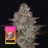 Tropiburger