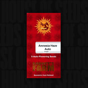 Rotes Barney’s Farm Samenpäckchen „Amnesia Haze Auto“ mit Sonnenlogo und Aufschrift „Souvenirs from Holland“