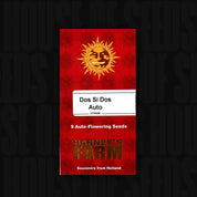 Rote Dos Si Dos Auto Verpackung von Barneys Farm mit 5 Auto-Flowering Seeds und Sonne und Text Souvenirs from Holland