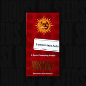 Rote Verpackung für Lemon Haze Auto von Barneys Farm für 3 Auto-Flowering Seeds mit Sonne und Text Souvenirs from Holland