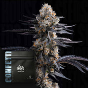 Neben einer schwarzen Doja-„Confetti“-Packung liegt eine mit Kristallen überzogene Cannabisblüte.