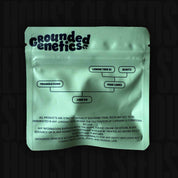 Hellgrüne Grounded Genetics Lime OG Samenpackung mit Abstammungsdiagramm