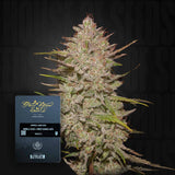 Chemical Candy Auto