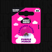 Leuchtend pinke Holy Hemp Verpackung für Purple Punch Auto mit 3 Cannabis Samen