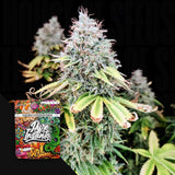 Apple OG
