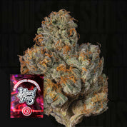 Nahaufnahme einer frostigen Cannabisknospe mit orangen Haaren, Ecke zeigt Wizard Trees Last Pour Samenpaket