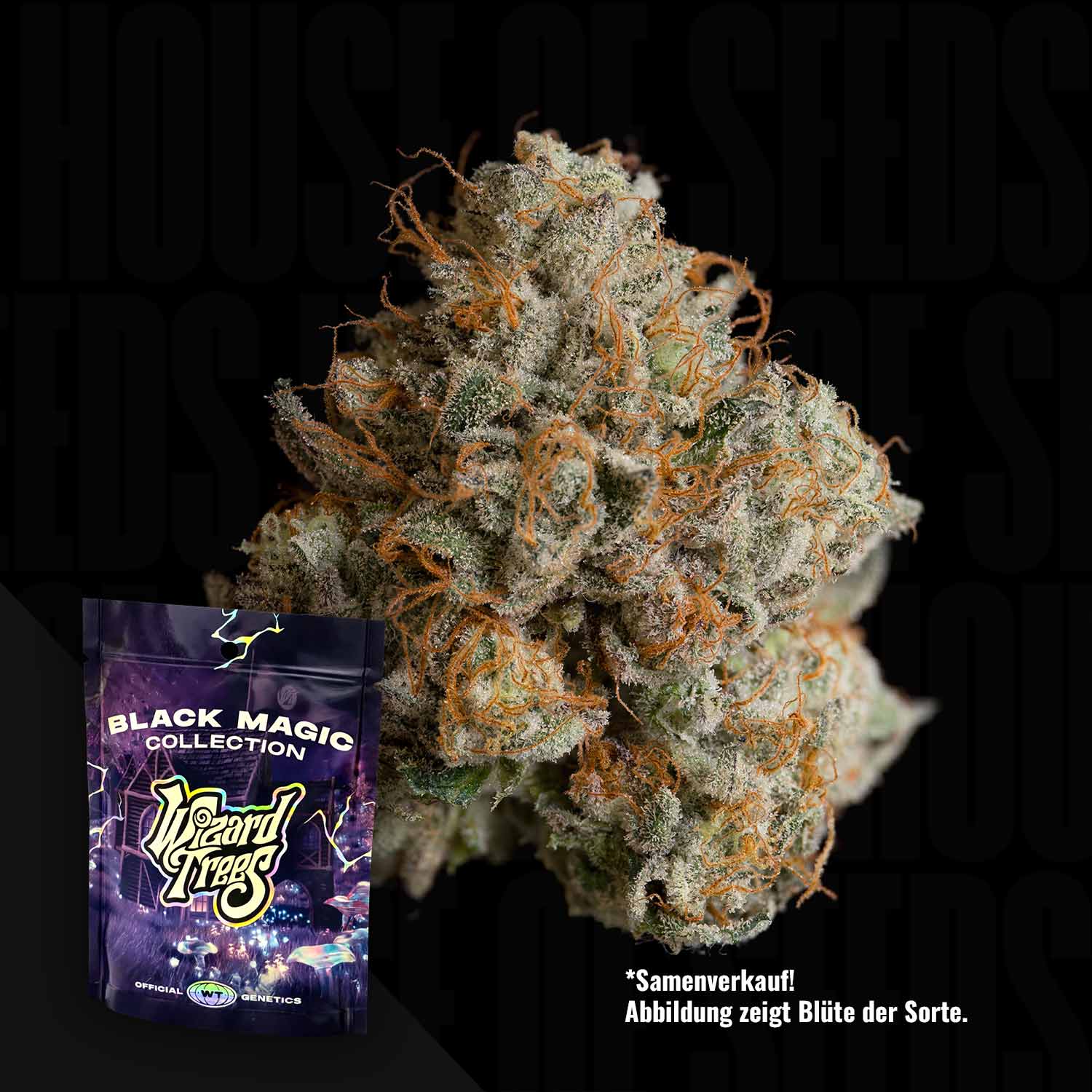WZT-N8R-3