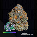Potion