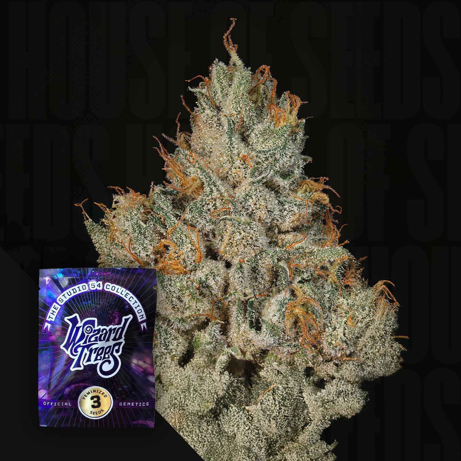 Eine Nahaufnahme einer Cannabisblüte von Studio Sesh mit orangefarbenen Härchen neben einer Verpackung von Wizard Trees.
