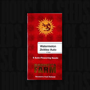 Rotes Barney’s Farm Päckchen Watermelon Zkittlez Auto mit Sonnenlogo, Aufschrift 5 Auto Seeds und Text "Souvenirs from" Holland